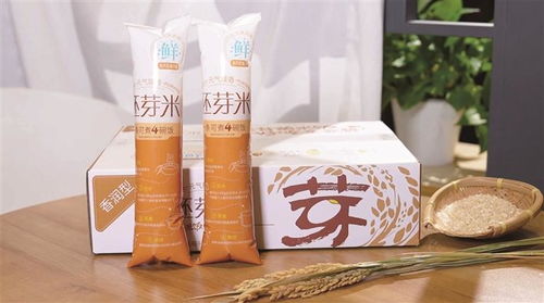 盛妆科技燃鹏城，鑫利宝点亮2023深圳食博会